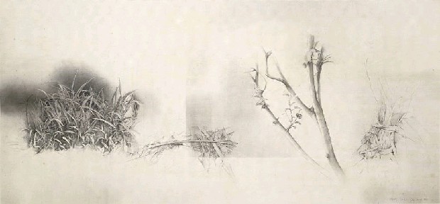 藏品:81-02的(1)張圖片