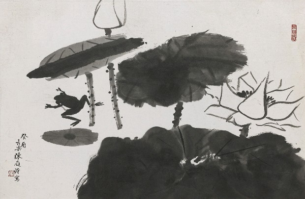 藏品:荷的(1)張圖片