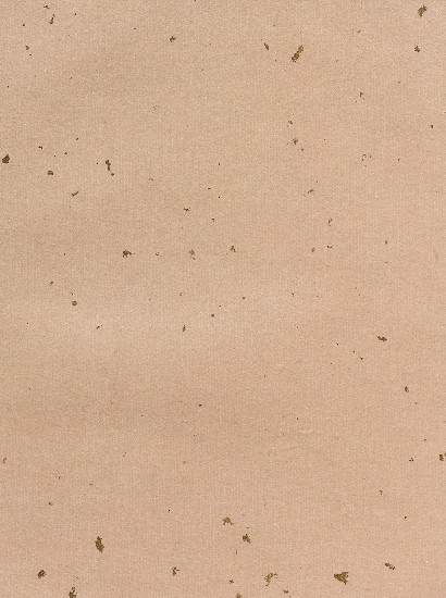 藏品:山水(冊頁)的(15)張圖片