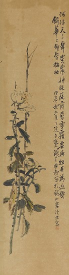 藏品:牡丹的(1)張圖片