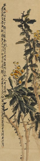 藏品:枇杷圖的(1)張圖片