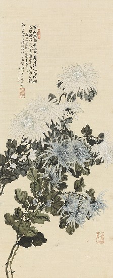 藏品:菊花的(1)張圖片