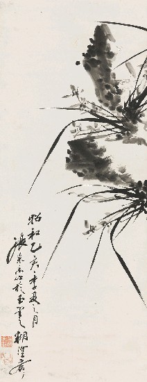 藏品:蘭的(1)張圖片