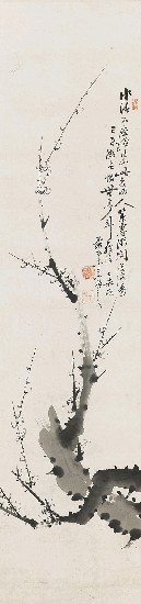 藏品:梅的(1)張圖片