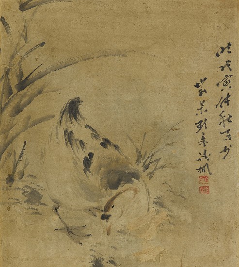 藏品:鴨的(1)張圖片
