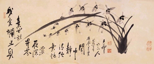 藏品:蘭的(1)張圖片