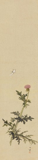 藏品:薊蝶圖的(1)張圖片