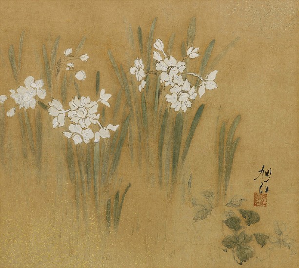 藏品:水仙的(1)張圖片