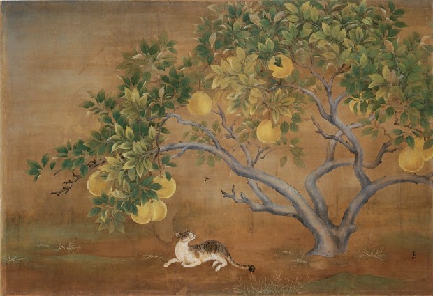 藏品:朱欒的(1)張圖片