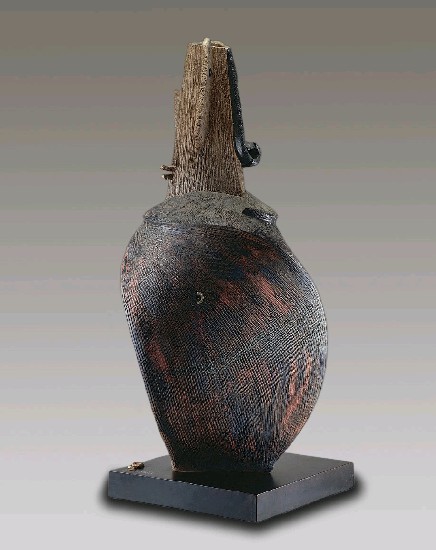 藏品:期待的(3)張圖片