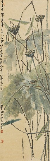 藏品:蓮池的(1)張圖片