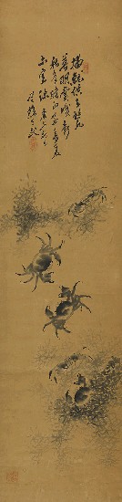 藏品:螃蟹的(1)張圖片