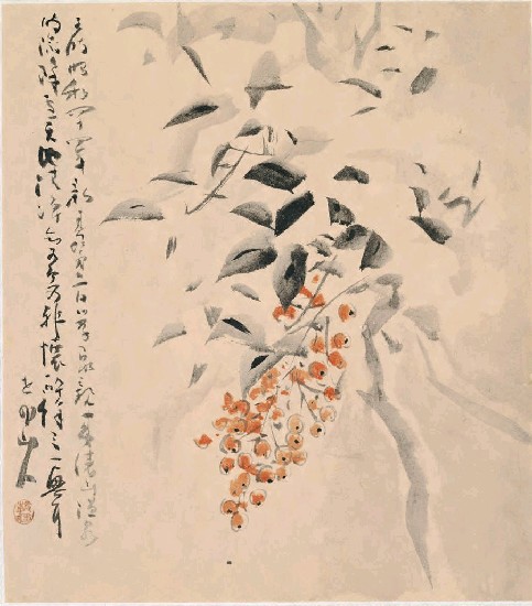 藏品:花果的(1)張圖片
