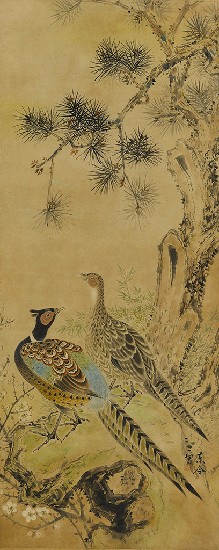 藏品:雙雉的(1)張圖片