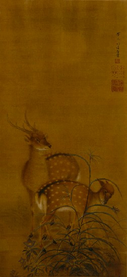 藏品:臺灣梅花鹿的(1)張圖片