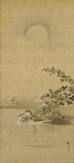 藏品:花鳥的(1)張圖片