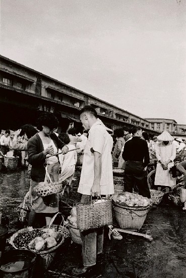 藏品:斤斤計較的(1)張圖片