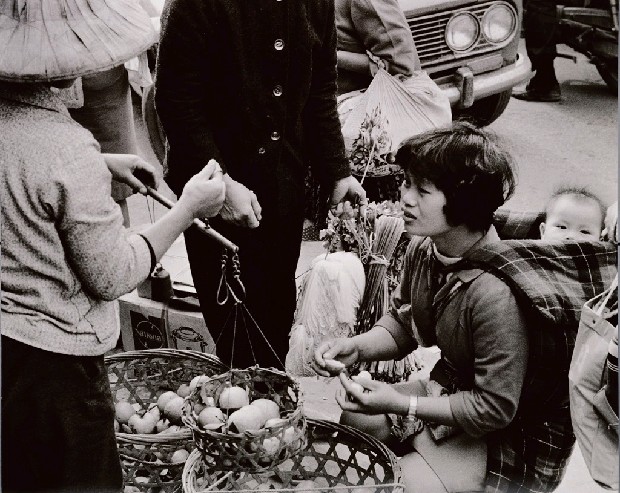 藏品:斤斤計較的(1)張圖片