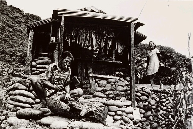 藏品:工作的(1)張圖片