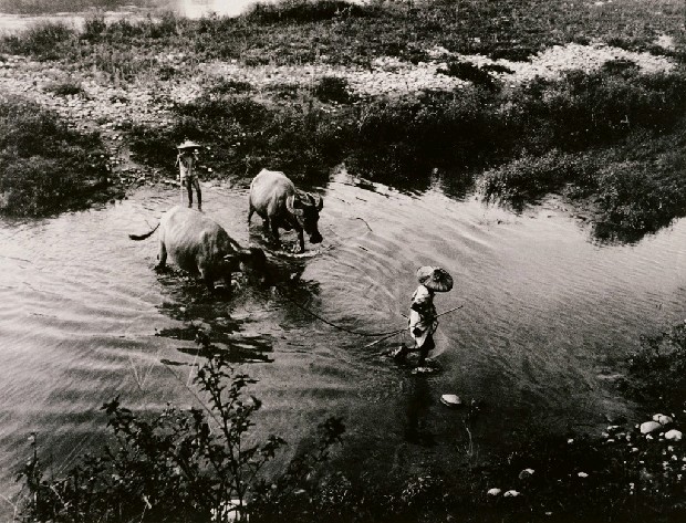藏品:牧罷.涉河歸的(1)張圖片
