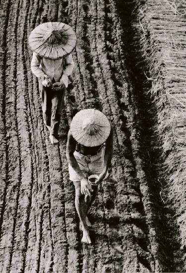 藏品:一步一腳印夫唱婦隨的(1)張圖片