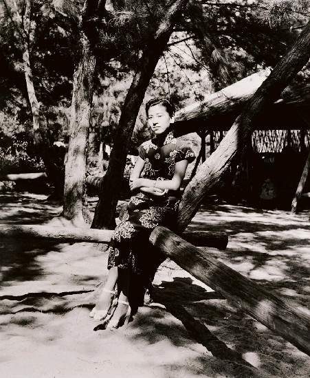 藏品:穿旗袍的小姐的(1)張圖片