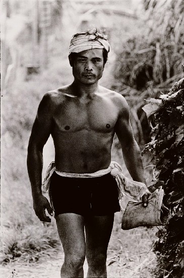 藏品:蔗農(埔里)的(1)張圖片