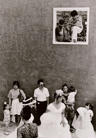 藏品:窗的(1)張圖片