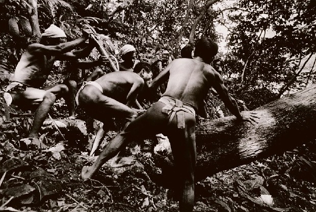 藏品:製舟前上山取材的(1)張圖片