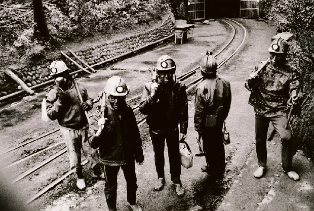 藏品:勇者群像的(1)張圖片