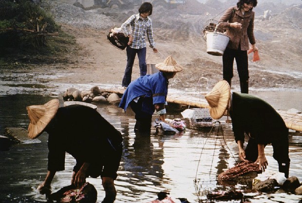 藏品:洗的(1)張圖片