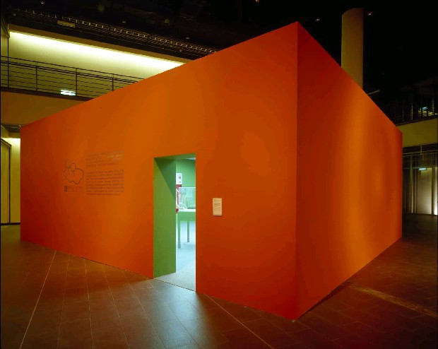 藏品:微生物學會:衣計劃的(1)張圖片