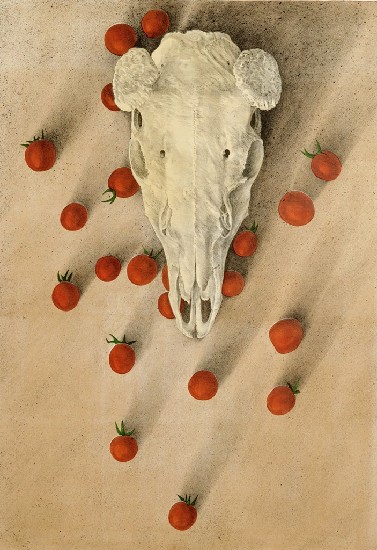 藏品:多情世界的(1)張圖片