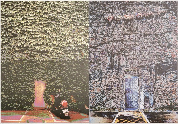 藏品:榮與枯的(1)張圖片