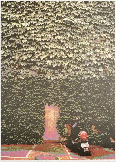 藏品:榮與枯的(2)張圖片