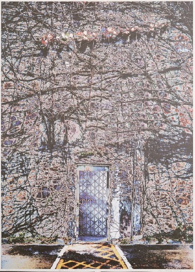 藏品:榮與枯的(3)張圖片