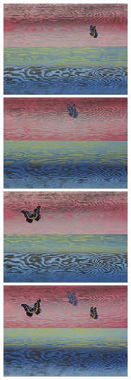 藏品:彩雲飛的(1)張圖片