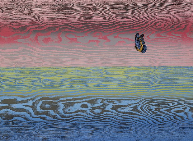 藏品:彩雲飛的(2)張圖片