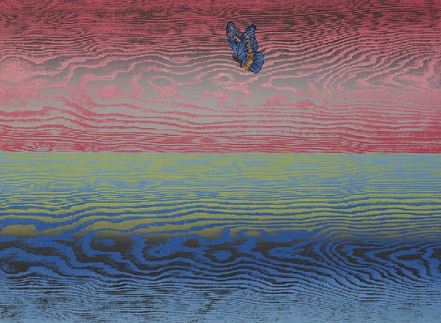 藏品:彩雲飛的(3)張圖片