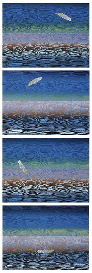 藏品:風中記憶的(1)張圖片