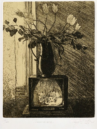 藏品:橫越的(1)張圖片