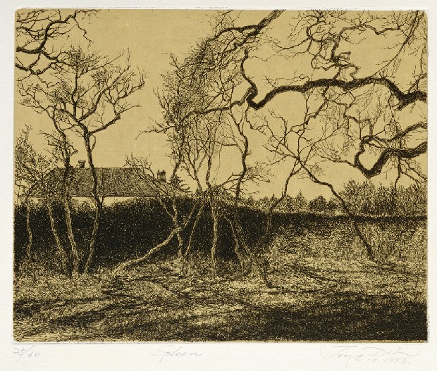 藏品:憂鬱的(1)張圖片