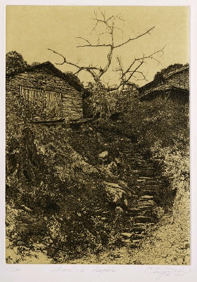 藏品:風雨前的(1)張圖片