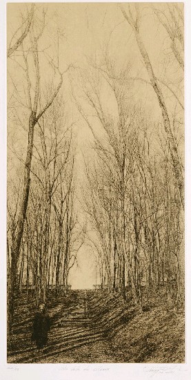 藏品:沉靜的(1)張圖片