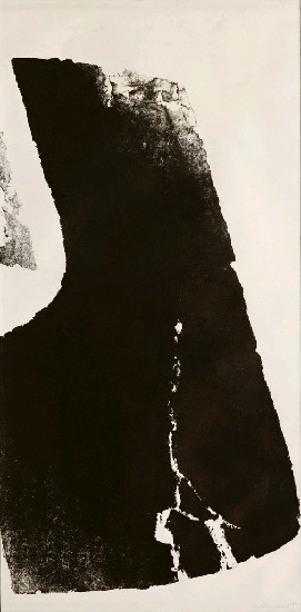 藏品:蟄＃1的(2)張圖片