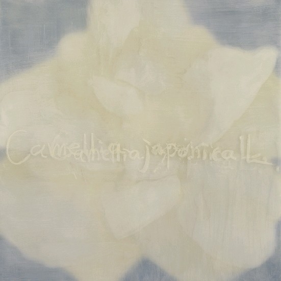 藏品:花2002-1、6、10的(2)張圖片