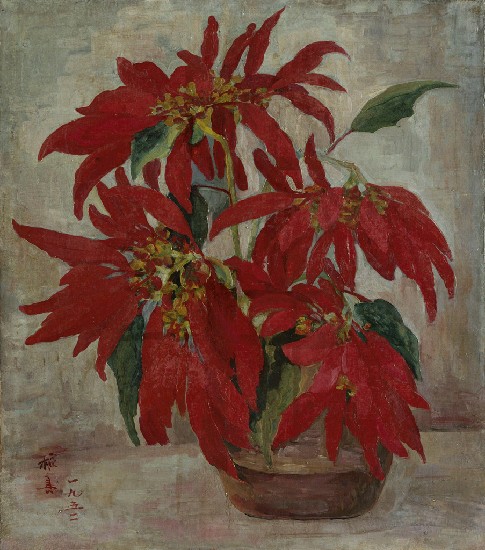 藏品:聖誕紅的(1)張圖片