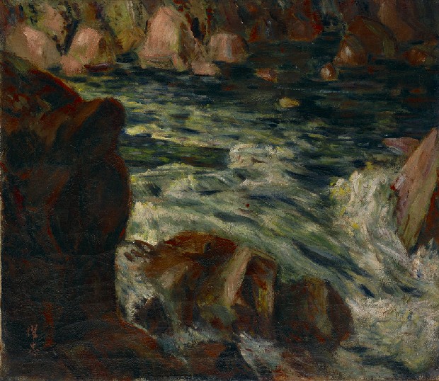 藏品:湍急的(1)張圖片