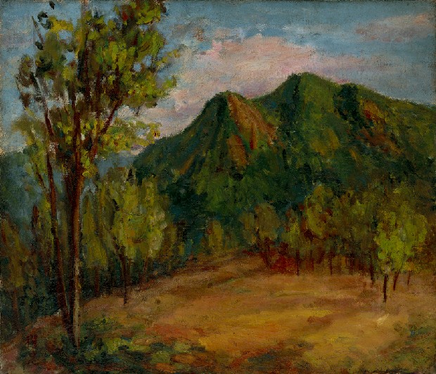 藏品:山坡的(1)張圖片