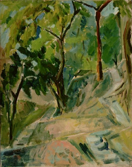 藏品:樹的(1)張圖片